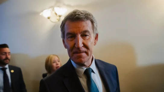 El líder del PP, Alberto Núñez Feijóo El líder del PP, Alberto Núñez Feijóo