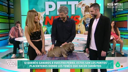 Estos son los consejos del veterinario Víctor Algra para dar mimos a nuestros perros Víctor Algra ha recurrido a una ayudante muy especial para hacer su demostración: su perrita Mari Córcoles. El veterinario explica que los canes tienen algunas zonas favoritas e, incluso, algunos puntos de acupuntura que les ayudan a relajarse.