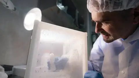 Antimaláricos matan en seis minutos al parásito Plasmodium falciparum dentro del mosquito Antimaláricos matan en seis minutos al parásito Plasmodium falciparum dentro del mosquito