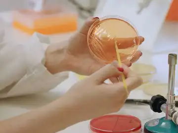 Microbioma Microbioma