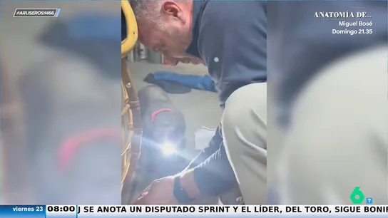 Trabajo en equipo: así ayuda un perro a su dueño en la reparación de un mueble Trabajo en equipo: así ayuda un perro a su dueño en la reparación de un mueble