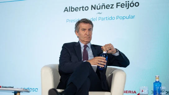 El presidente del Partido Popular (PP), Alberto Núñez Feijóo, en una imagen de archivo. El presidente del Partido Popular (PP), Alberto Núñez Feijóo, en una imagen de archivo.