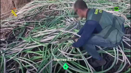 Hoy, en Equipo de Investigación, Glòria Serra se adentra en el mercado negro del cobre: de los campos vacíos del AVE a las chatarrerías Hoy, en Equipo de Investigación, Glòria Serra se adentra en el mercado negro del cobre: de los campos vacíos del AVE a las chatarrerías
