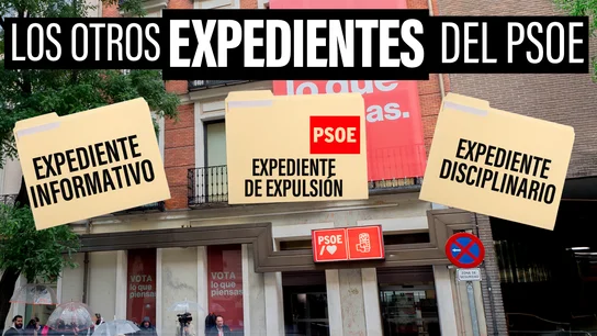 Los otros expedientes del PSOE: cómo el partido ha sancionado con dureza a sus propios afiliados Los otros expedientes del PSOE: cómo el partido ha sancionado con dureza a sus propios afiliados