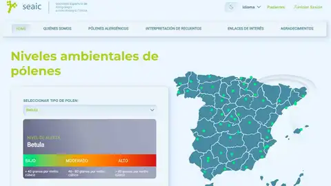 Asi es la página de la SEAIC Asi es la página de la SEAIC