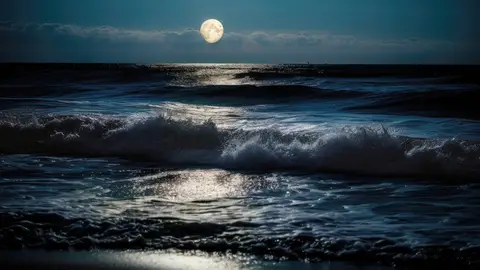 Luna sobre el mar en la noche Luna sobre el mar en la noche