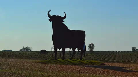 Toro de Osborne Toro de Osborne