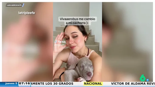 Vuelve de viaje con su perro y cuando llega a casa se da cuenta de que le han dado uno que no es el suyo Vuelve de viaje con su perro y cuando llega a casa se da cuenta de que le han dado uno que no es el suyo