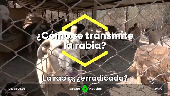 rabia-uci rabia-uci