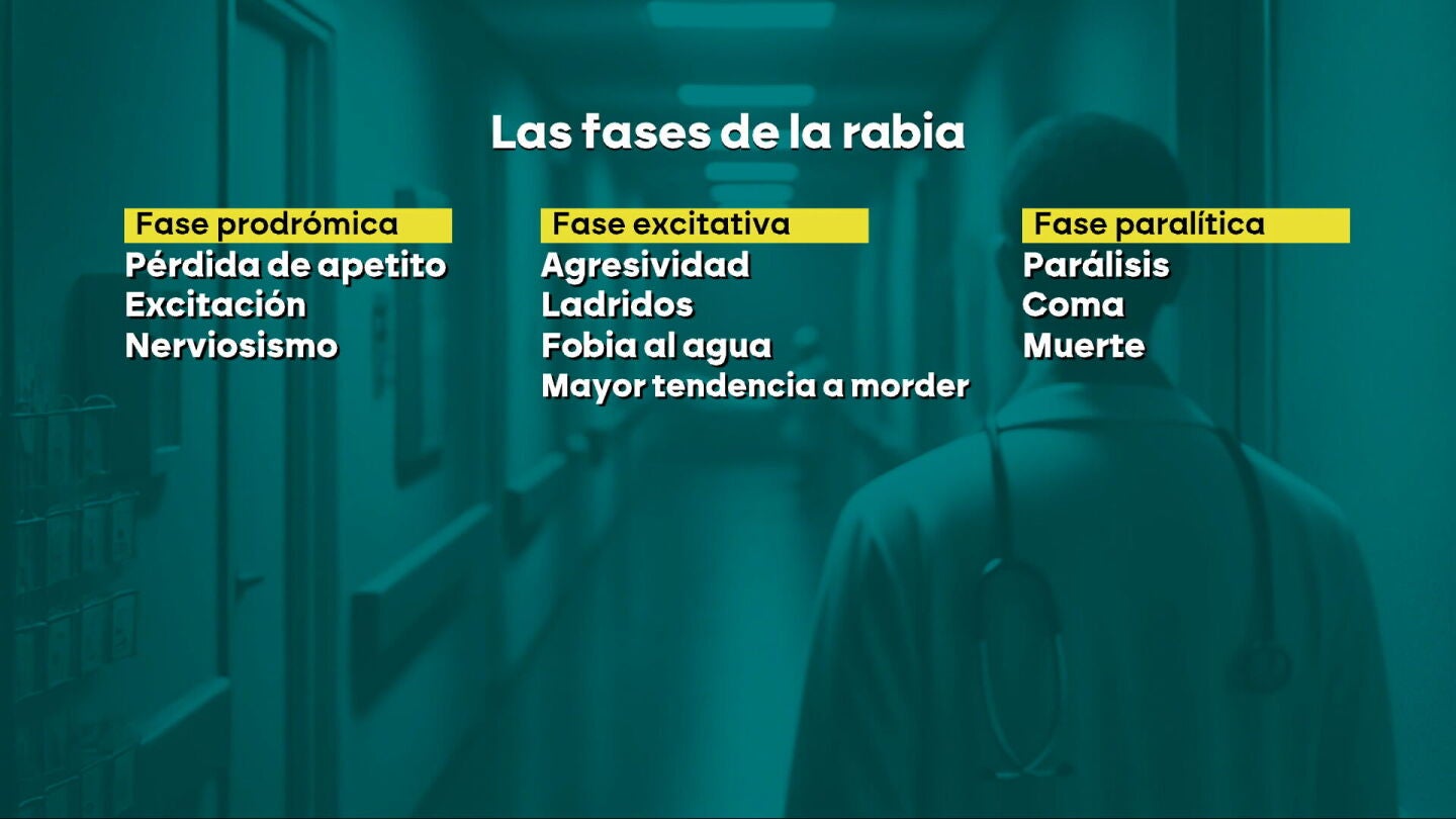 Un viaje a Etiop&iacute;a y la mordedura de un perro que le contagi&oacute; la rabia: as&iacute; fue la historia que termin&oacute; con la vida de Gabriel.