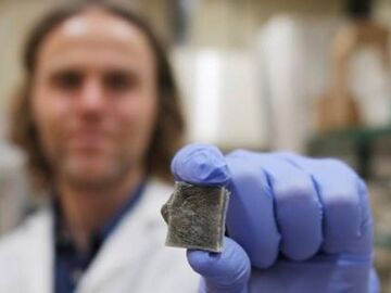 Un material basado en algas marinas genera electricidad y ayuda a prevenir incendios