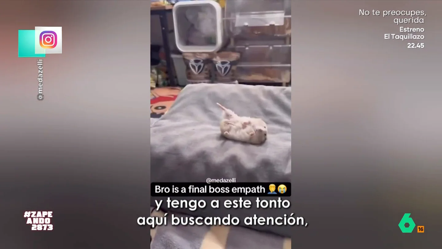 Un chico se rompe una pierna y su hámster decide 'trolearlo': "Tengo aquí a este tonto aquí buscando atención" El chico tiene un accidente jugando a baloncesto y termina con la pierna escayolada lo que ha provocado que tenga que hacer reposo en casa acompañado de su mascota.