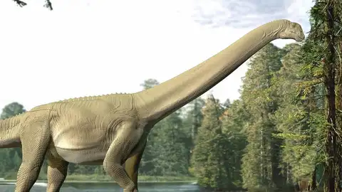 Recreación de un Diamantinasaurus matildae alimentándose Recreación de un Diamantinasaurus matildae alimentándose