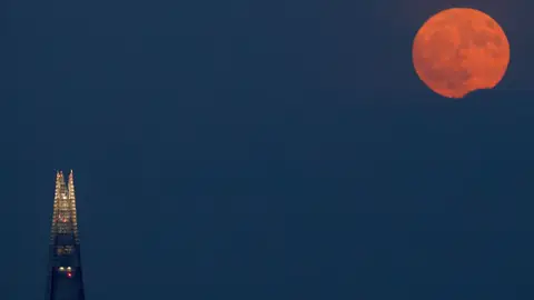 Luna de fresa en Londres Luna de fresa en Londres