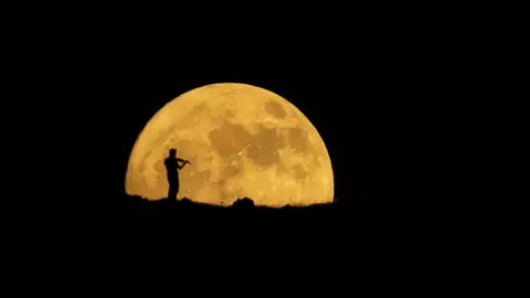 Luan de fresa en Irak Luan de fresa en Irak