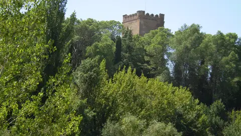 Arboleda de Batres Arboleda de Batres