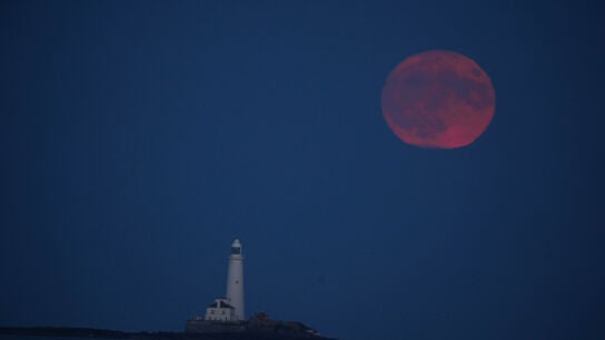 Luna de fresa en Inglaterra