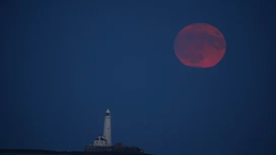 Luna de fresa en Inglaterra Luna de fresa en Inglaterra