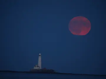Luna de fresa en Inglaterra Luna de fresa en Inglaterra