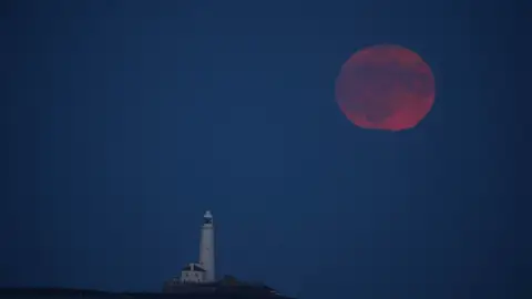 Luna de fresa en Inglaterra Luna de fresa en Inglaterra