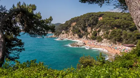 Cala Sa Boadella, Costa Brava, Lloret de Mar Cala Sa Boadella, Costa Brava, Lloret de Mar