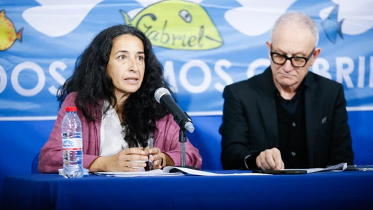 Rueda de prensa de Patricia Ramírez, madre del niño Gabriel Cruz (Almería) Rueda de prensa de Patricia Ramírez, madre del niño Gabriel Cruz (Almería)