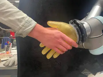 Robots con sentido del tacto: crean piel artificial sensible y flexible Robots con sentido del tacto: crean piel artificial sensible y flexible