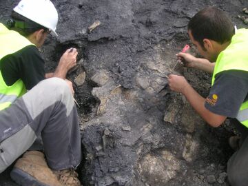 Hallan en Teruel el esqueleto de tortuga m&aacute;s completo de Europa del Cret&aacute;cico