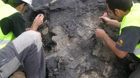 Hallan en Teruel el esqueleto de tortuga más completo de Europa del Cretácico Hallan en Teruel el esqueleto de tortuga más completo de Europa del Cretácico