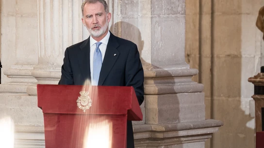 El rey Felipe VI El rey Felipe VI