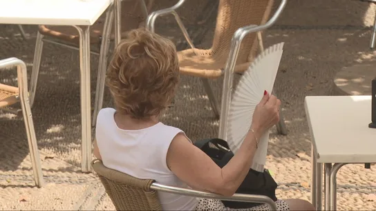 Una mujer con un abanico Una mujer con un abanico