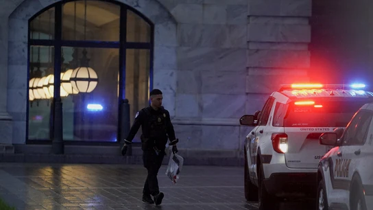 Policía de Estados Unidos, en una imagen de archivo. Policía de Estados Unidos, en una imagen de archivo.