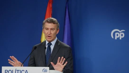 El presidente del Partido Popular Alberto Núñez Feijóo El presidente del Partido Popular Alberto Núñez Feijóo