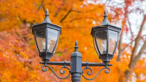 Luz artificial Luz artificial