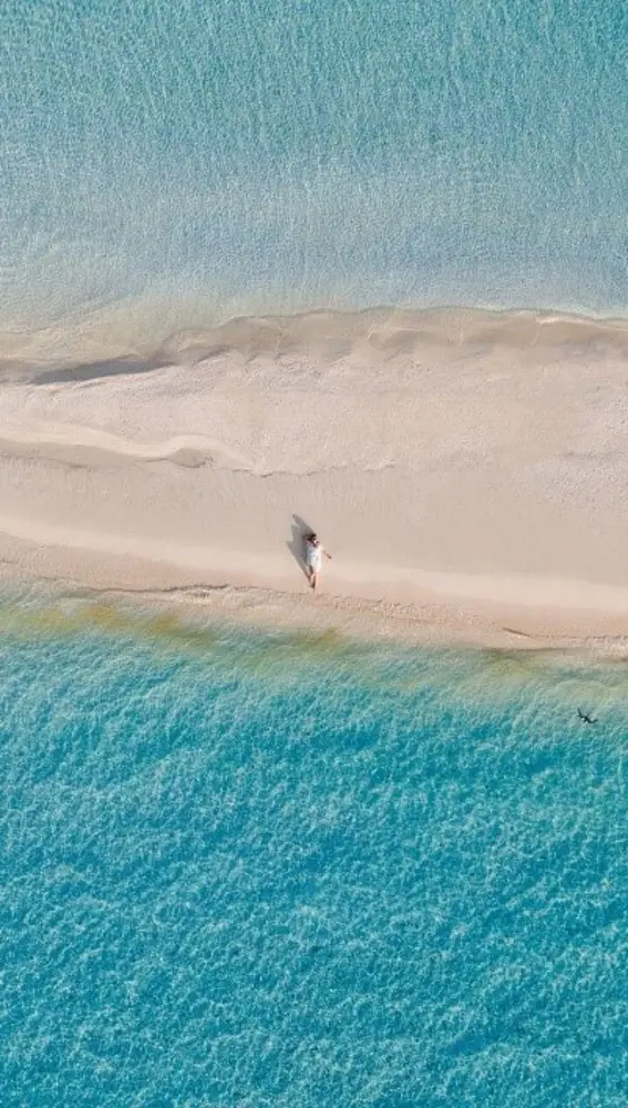 El Mar Rojo saudí El Mar Rojo saudí