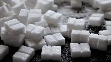 Terrones de azúcar