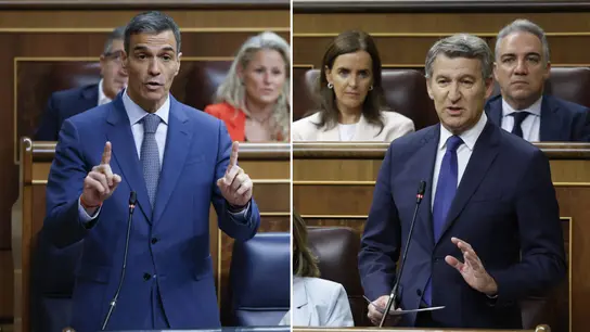 Sánchez y Feijóo, en la sesión de control de este miércoles. Sánchez y Feijóo, en la sesión de control de este miércoles.