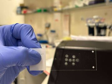 Una t&eacute;cnica permite analizar millones de c&eacute;lulas individuales sin necesidad de secuenciarlas