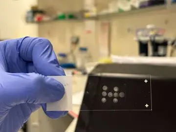 Una técnica permite analizar millones de células individuales sin necesidad de secuenciarlas Una técnica permite analizar millones de células individuales sin necesidad de secuenciarlas