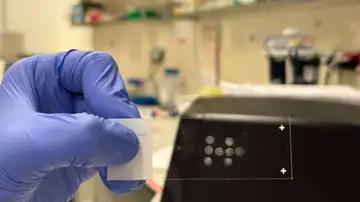 Una técnica permite analizar millones de células individuales sin necesidad de secuenciarlas Una técnica permite analizar millones de células individuales sin necesidad de secuenciarlas