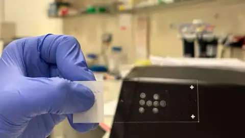 Una técnica permite analizar millones de células individuales sin necesidad de secuenciarlas Una técnica permite analizar millones de células individuales sin necesidad de secuenciarlas