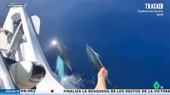 El viral de Antonio Orozco cantando en alta mar a unos delfines para que no se alejen El viral de Antonio Orozco cantando en alta mar a unos delfines para que no se alejen