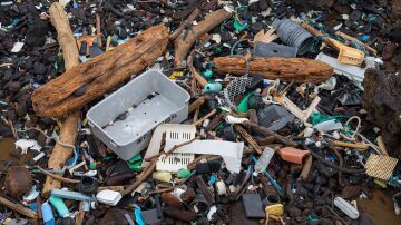 Restos de la Gran Isla de Basura del Pac&iacute;fico, arrastrados a la costa de Haw&aacute;i