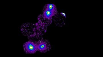 Filamento que conecta cuatro cúmulos de galaxias