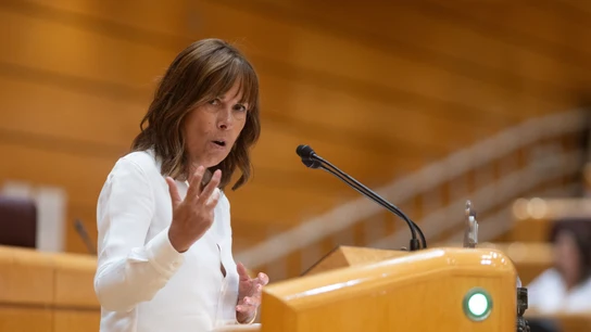 La senadora de Geroa Bai, Miren Uxue Barcos, en una imagen de archivo La senadora de Geroa Bai, Miren Uxue Barcos, en una imagen de archivo