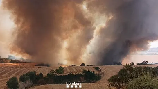 Confinan a unos 12.000 vecinos de dos municipios por un incendio originado tras arder un coche en Granyena de Segarra. Confinan a unos 12.000 vecinos de dos municipios por un incendio originado tras arder un coche en Granyena de Segarra.
