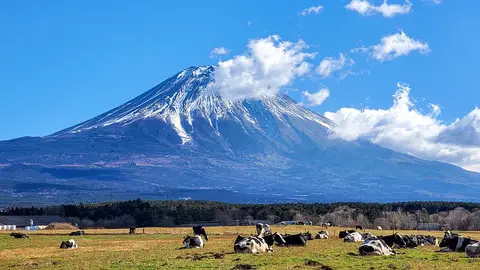 Monte Fuji Monte Fuji