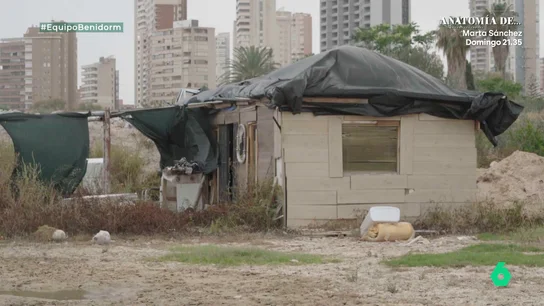 ocupa discoteca benidorm ocupa discoteca benidorm