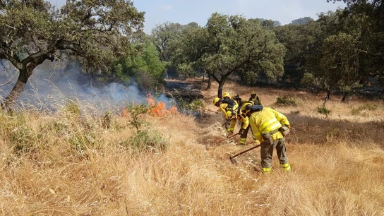 El Infoca trabaja para controlar un incendio El Infoca trabaja para controlar un incendio