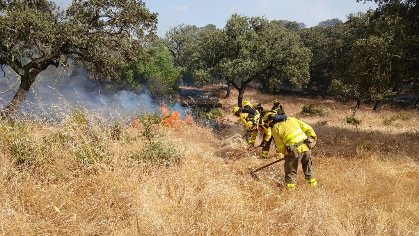 El Infoca trabaja para controlar un incendio El Infoca trabaja para controlar un incendio